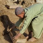 வாசக மறையுரை  (ஜுன் 14)