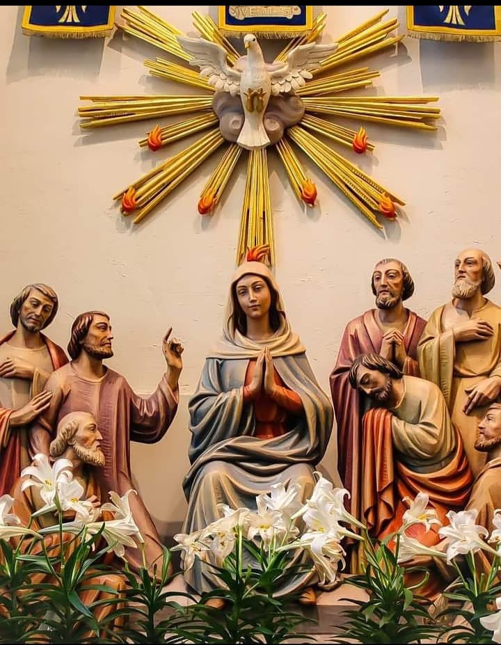 வாசகமறையுரை  (ஜூன் 08)