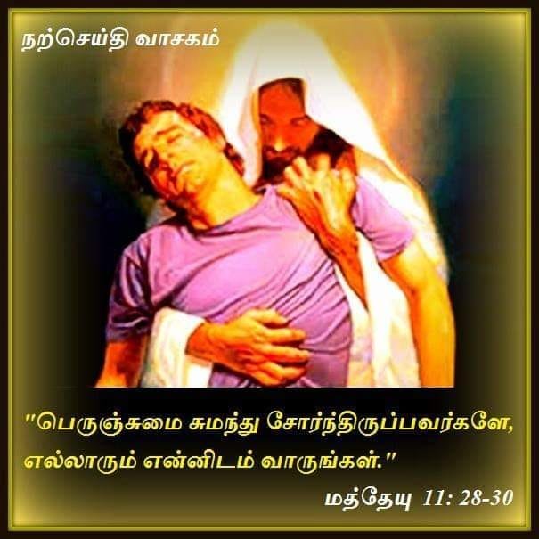 ஜூலை 14 :  நற்செய்தி வாசகம்