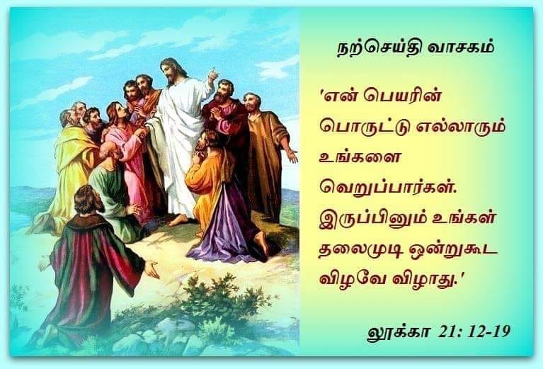 நவம்பர் 23 :  நற்செய்தி வாசகம்