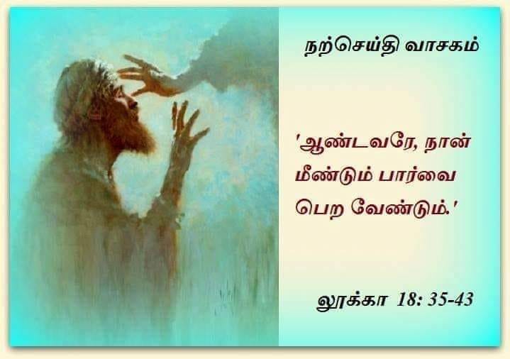 நவம்பர் 14  :  நற்செய்தி வாசகம்