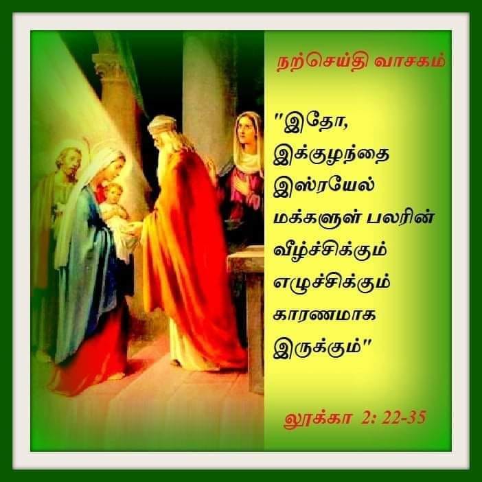 டிசம்பர் 29 :  நற்செய்தி வாசகம்  – பிற இனத்தார்க்கு வெளிப்பாடு அருளும் ஒளி